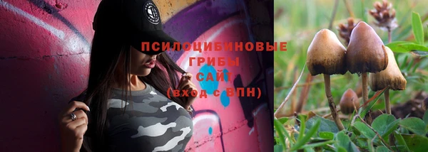 ECSTASY Армянск