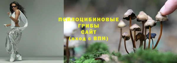 МДПВ Аркадак