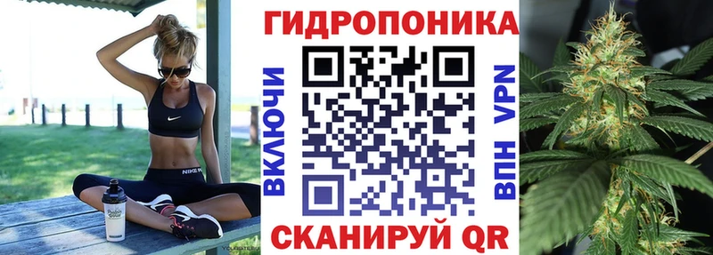 Канабис OG Kush  Родники 